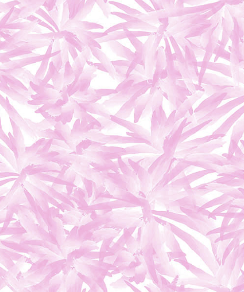 Bolas Rosa