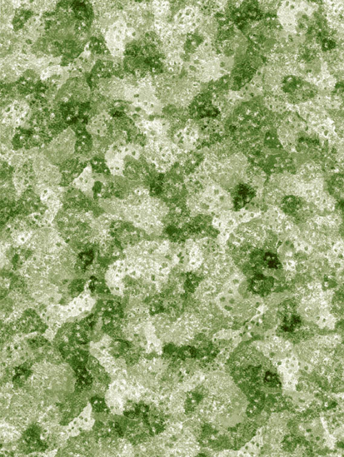 Coraza Verde