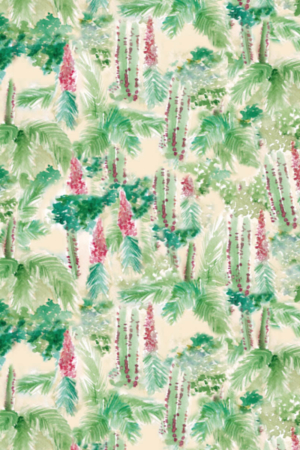Flora